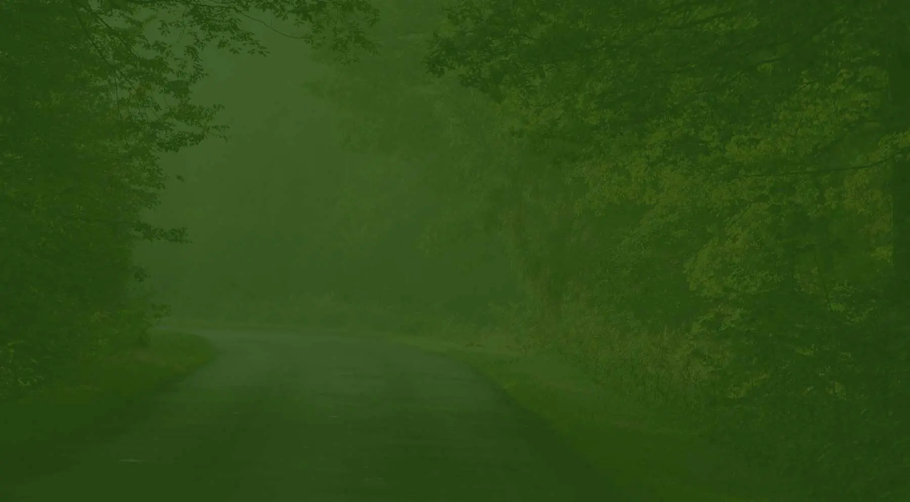 Mediator family law consultant